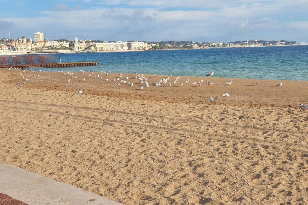 T2 Climatise A 5 Minutes A Pied De La Plage Avec Parking, Piscine Et Wifi Fréjus Exterior foto